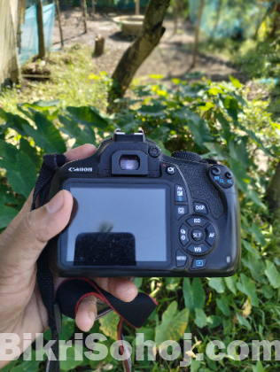 Canon 1200d